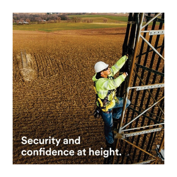 3M™ DBI-SALA® 7100207472 429756