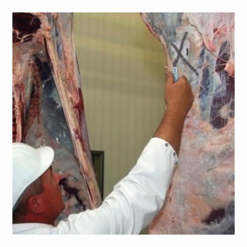 All-Weather&reg; 062103