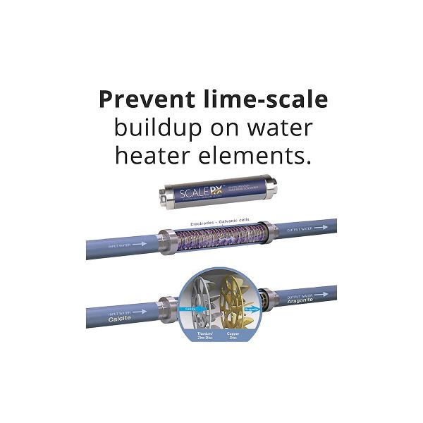 American Valve&reg; SCALERX 3/4