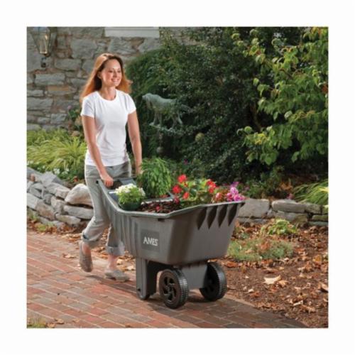 Ames 2463875 TIEMANN