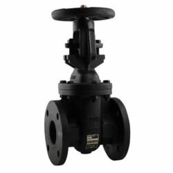 Apollo™ 611F-LF Lead Free Gate Valve