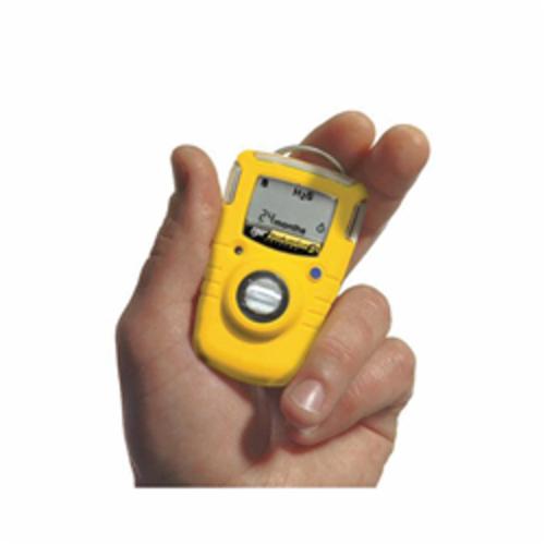 BW Technologies by Honeywell GA24XT-H