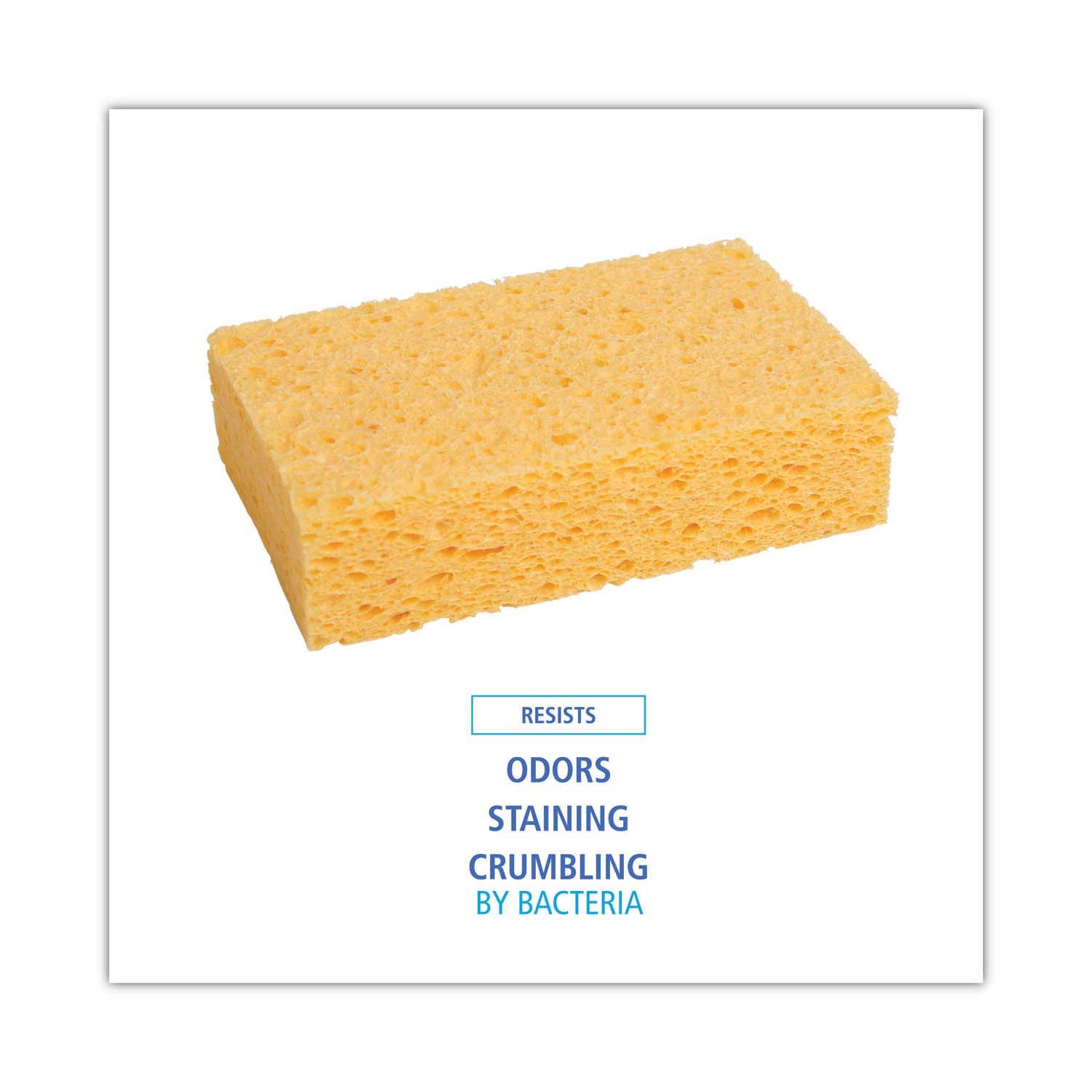 Boardwalk&reg; BWKCS2 BWK CS2