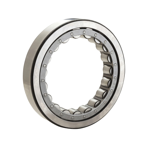 Bower® M1205EL