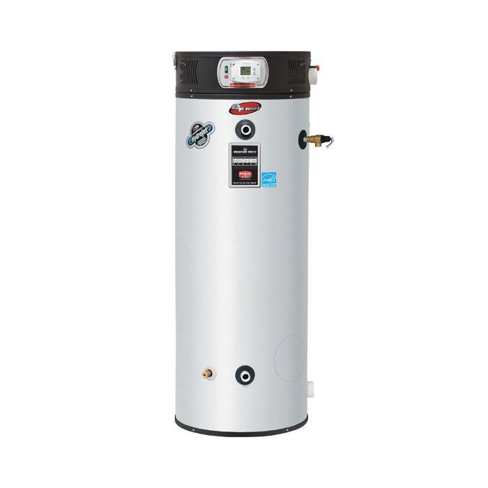 Bradford White&reg; EF100T199E3N2 690