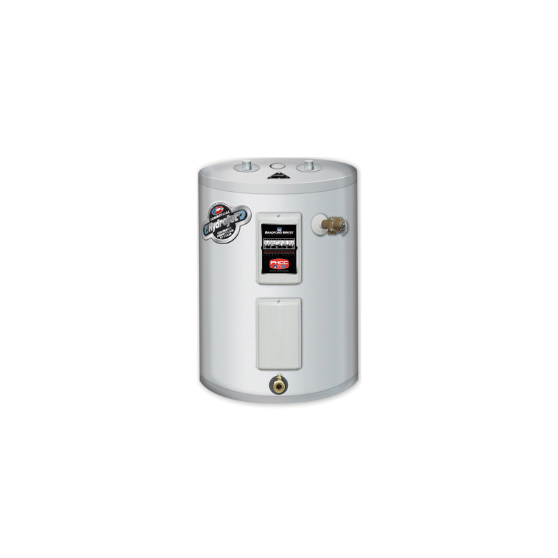 Bradford White&reg; LE120L3-3NCWW-407 21896