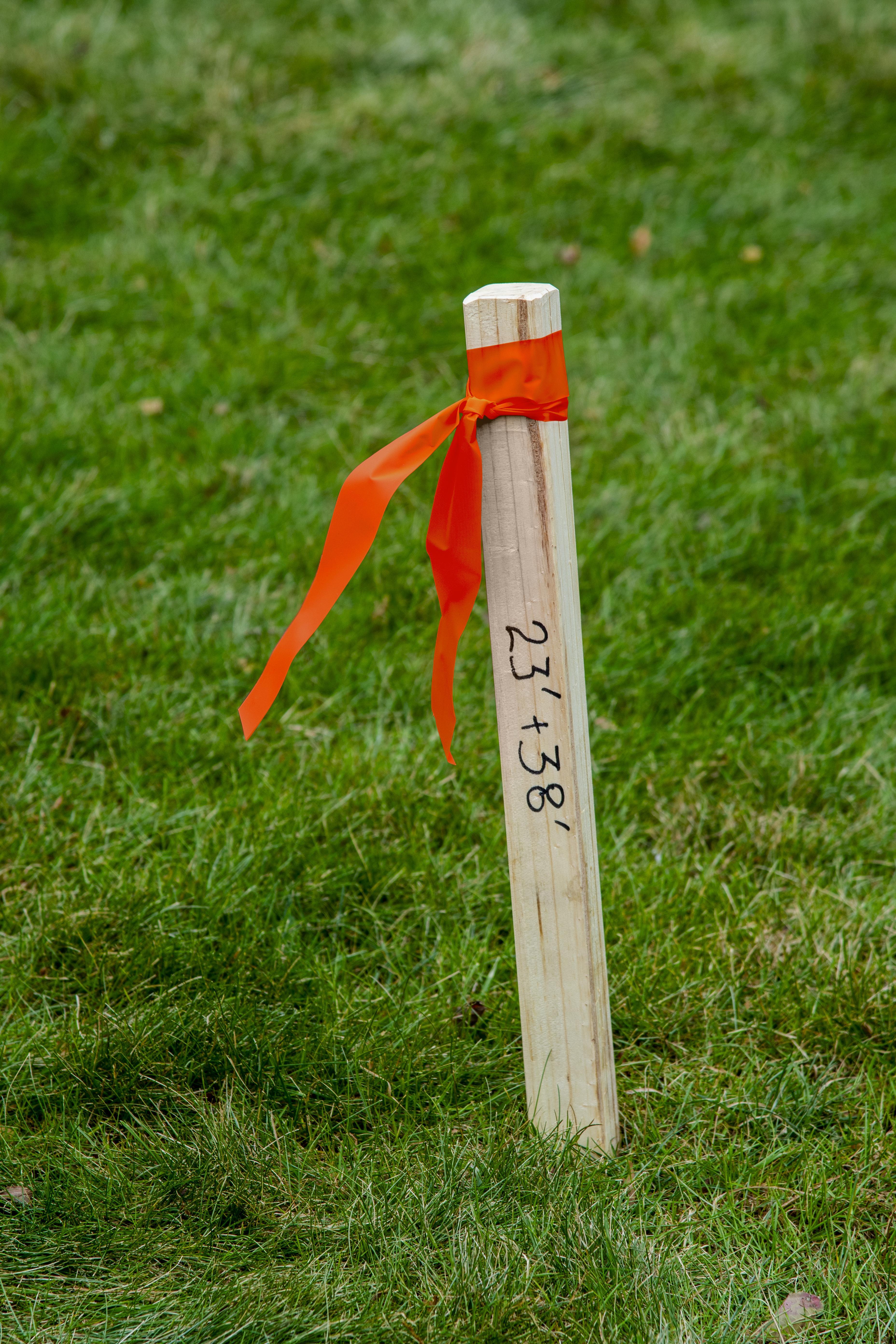 C.H.Hanson&reg; 17021 HAN 17021