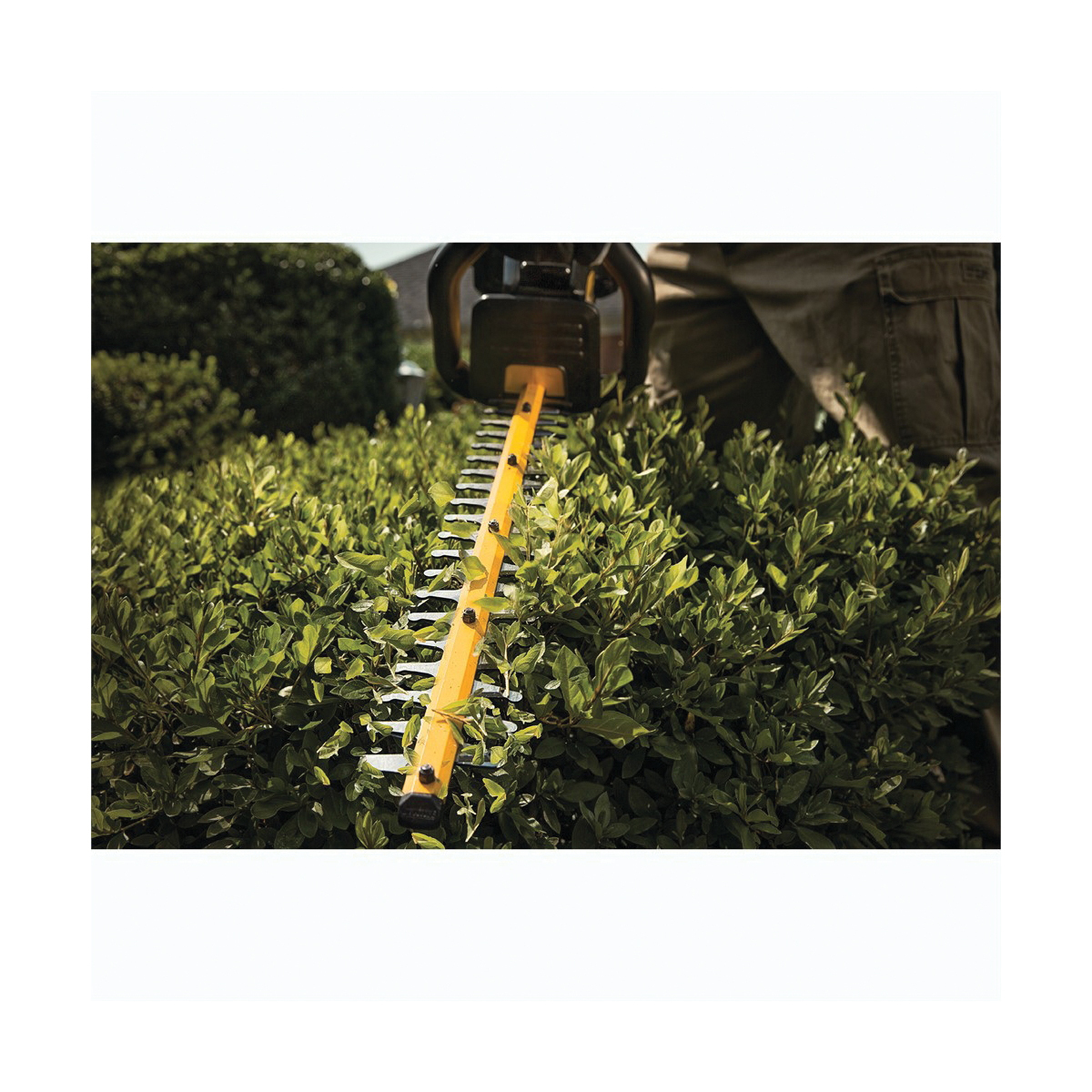 DeWALT® DCHT860M1