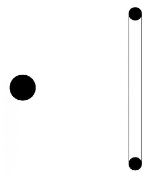 Sanitary & Clamp Gaskets
