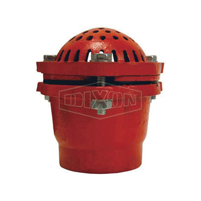 product Dixon® DFVS35 Foot Valve, 3 in, FNPT, Cast Iron Body