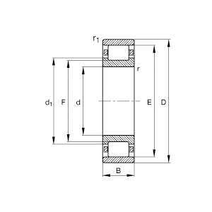 FAG N211-E-XL-TVP2 FAGN211EXLTVP2