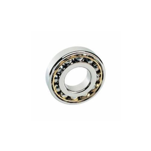 Fafnir® 7307WN