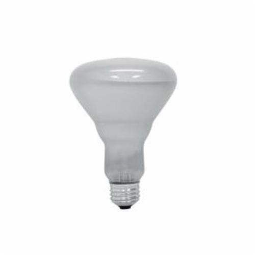 GE Lamps 65R30/FL