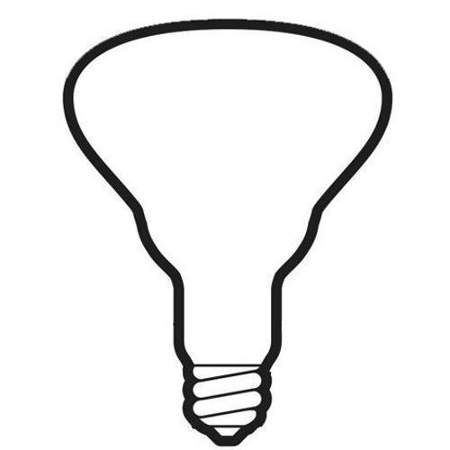 GE Lamps 250R40/1/PRO