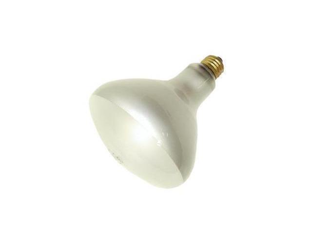 GE Lamps 250R40/4