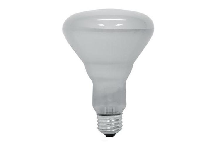GE Lamps 65BR30/PROLINE