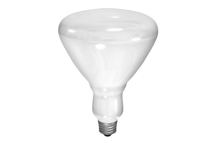 GE Lamps 65BR40/FL/PRO
