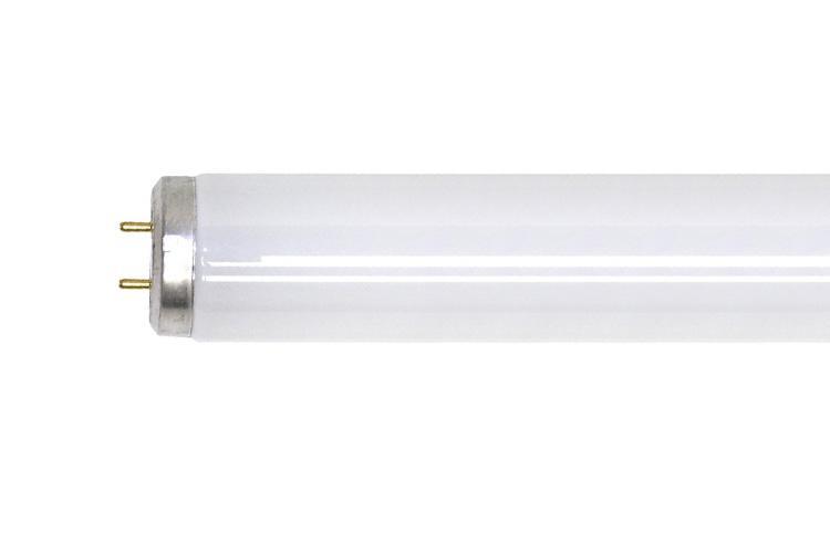 GE Lamps F30T12/CW/RS/ECO