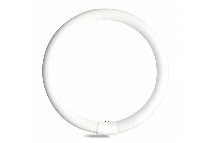 GE Lamps FC8T9/KB