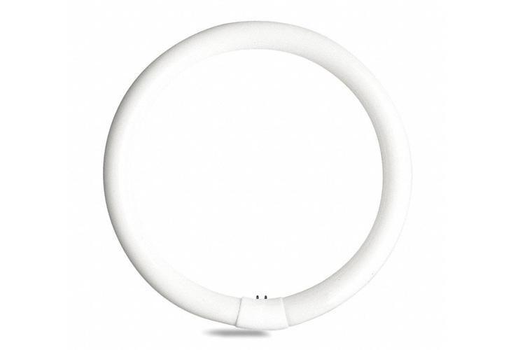GE Lamps FC12T9/CW