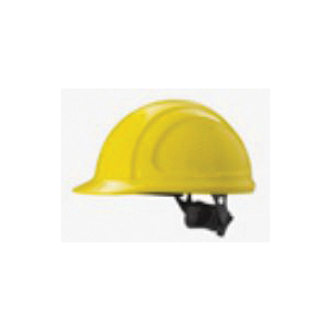 Honeywell N10R020000