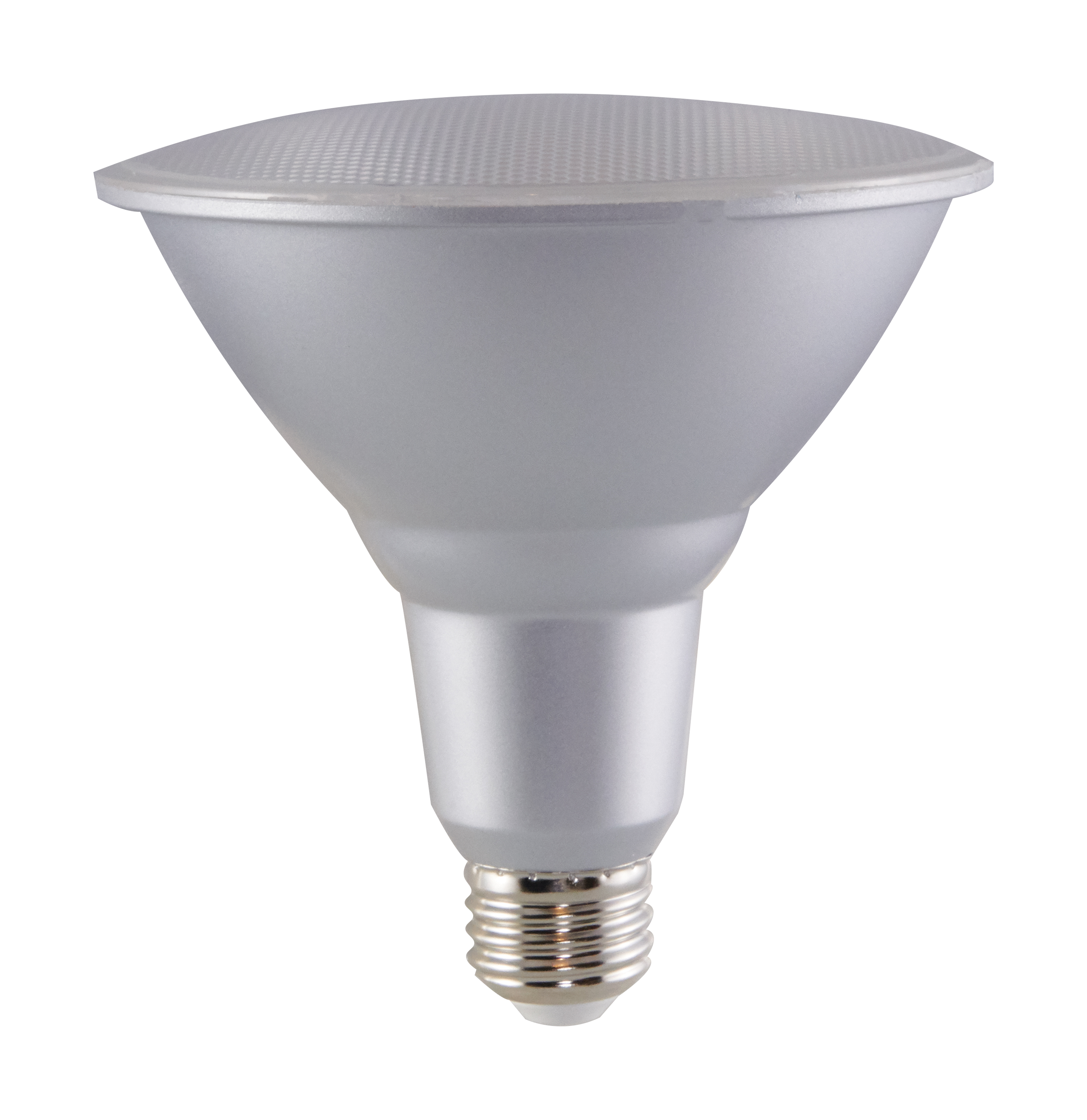 SATCO® S29446 500101