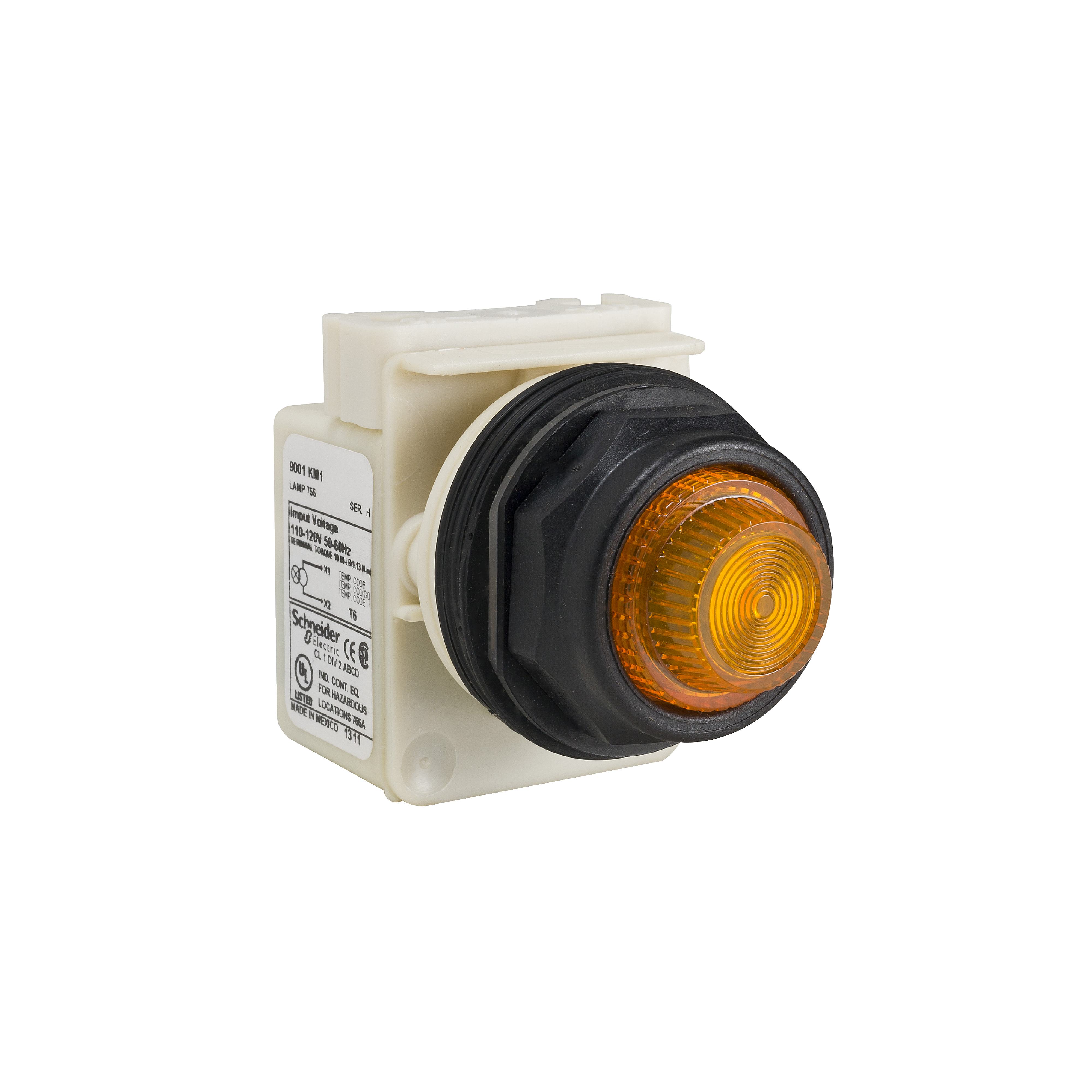 Square D&trade; NF18RDE 454576