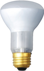 EIKO® 45R20/FL-120V