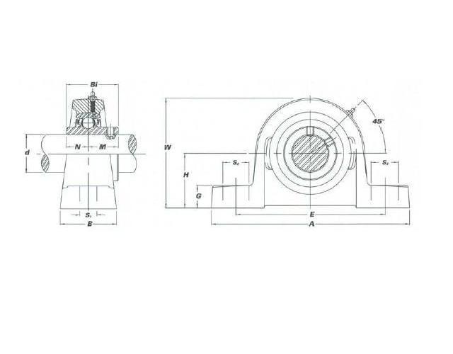 IPTCI Bearings SUCNPP 207 22 IPTSUCNPP207-22