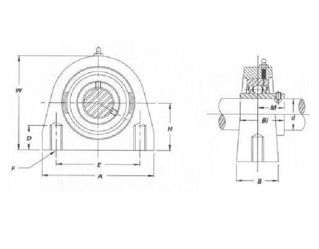 IPTCI Bearings SUCTPA 206 18 IPTSUCTP206-18