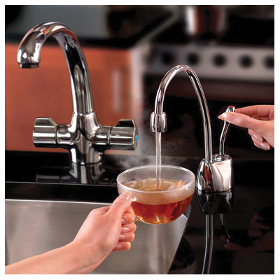 Insinkerator&reg; 44251 17470