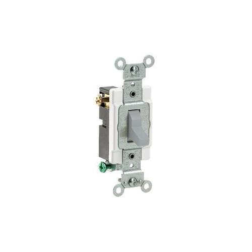 Leviton&reg; CS315-2GY