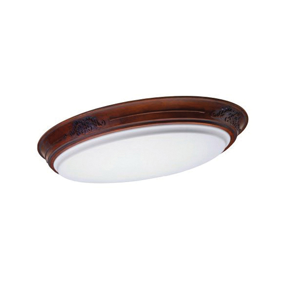 Lithonia Lighting® 10817 ERF