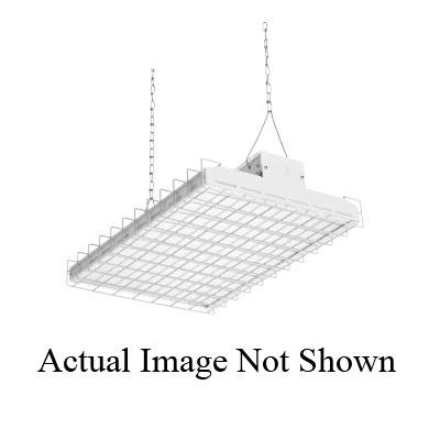 Lithonia Lighting® WGIBH4