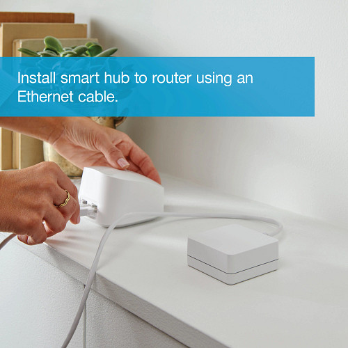 Lutron® DVRF-BDG-1D 522504