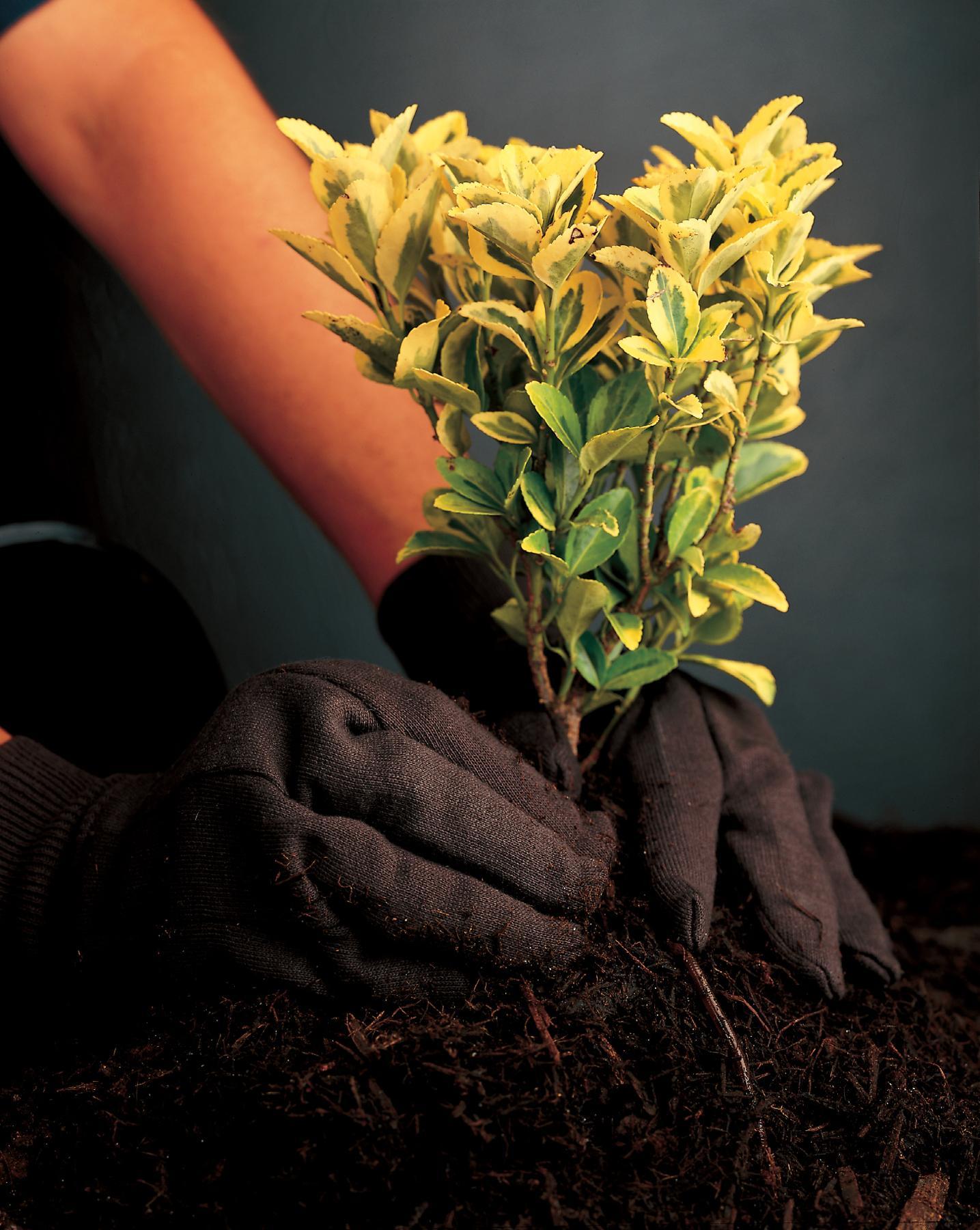 MCR Safety 7100 MCR 7100