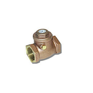 Swing Check Valves