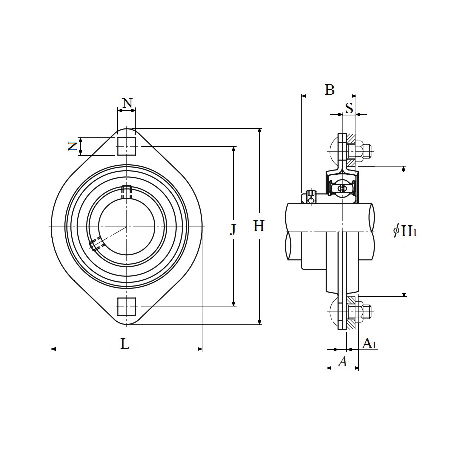 NTN ASPFL202 NTNASPFL202