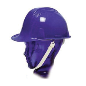 North® by Honeywell A79C100