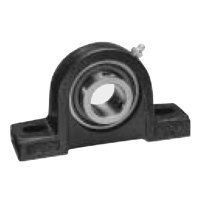 IPTCI Bearings SBPL 205 25MM G