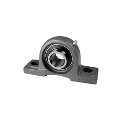 IPTCI Bearings UCP206-20