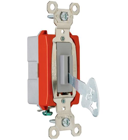 Pass & Seymour&reg; PS20AC1L