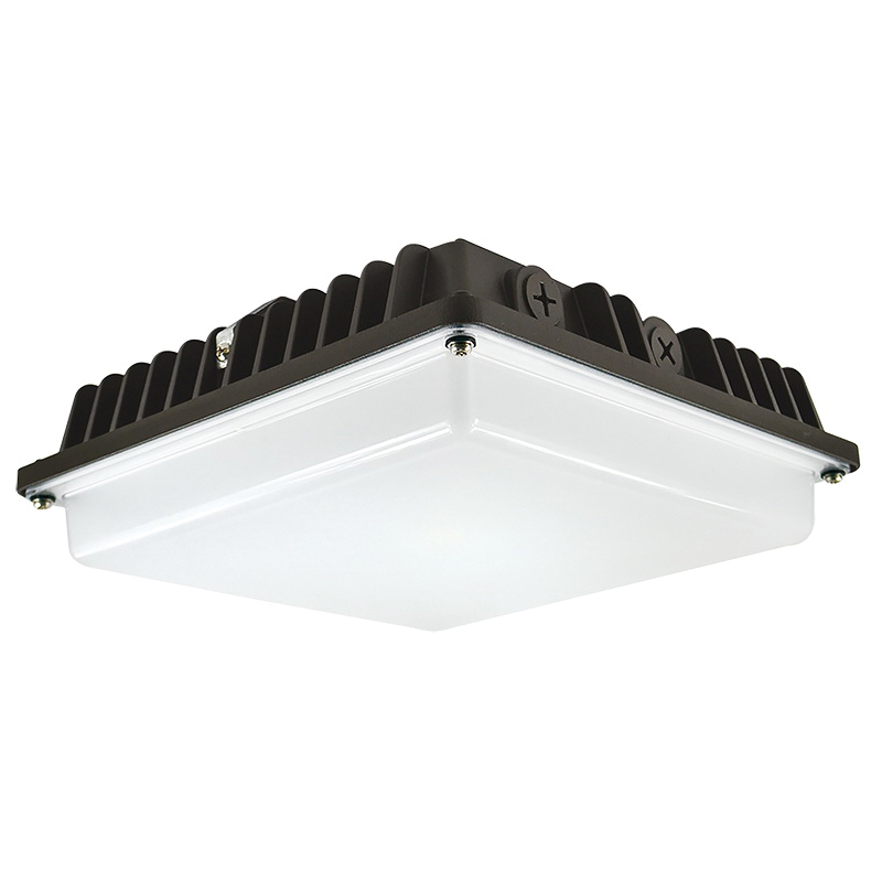 Signify Luminaires PGC20-NW-G1-SM-5-8-BZ