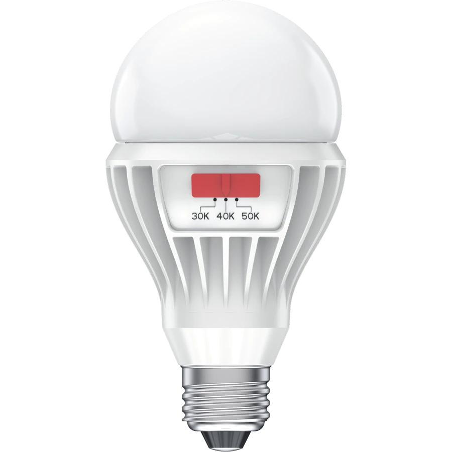 RAB A21-17-E26-9CCT-DIM-UNV