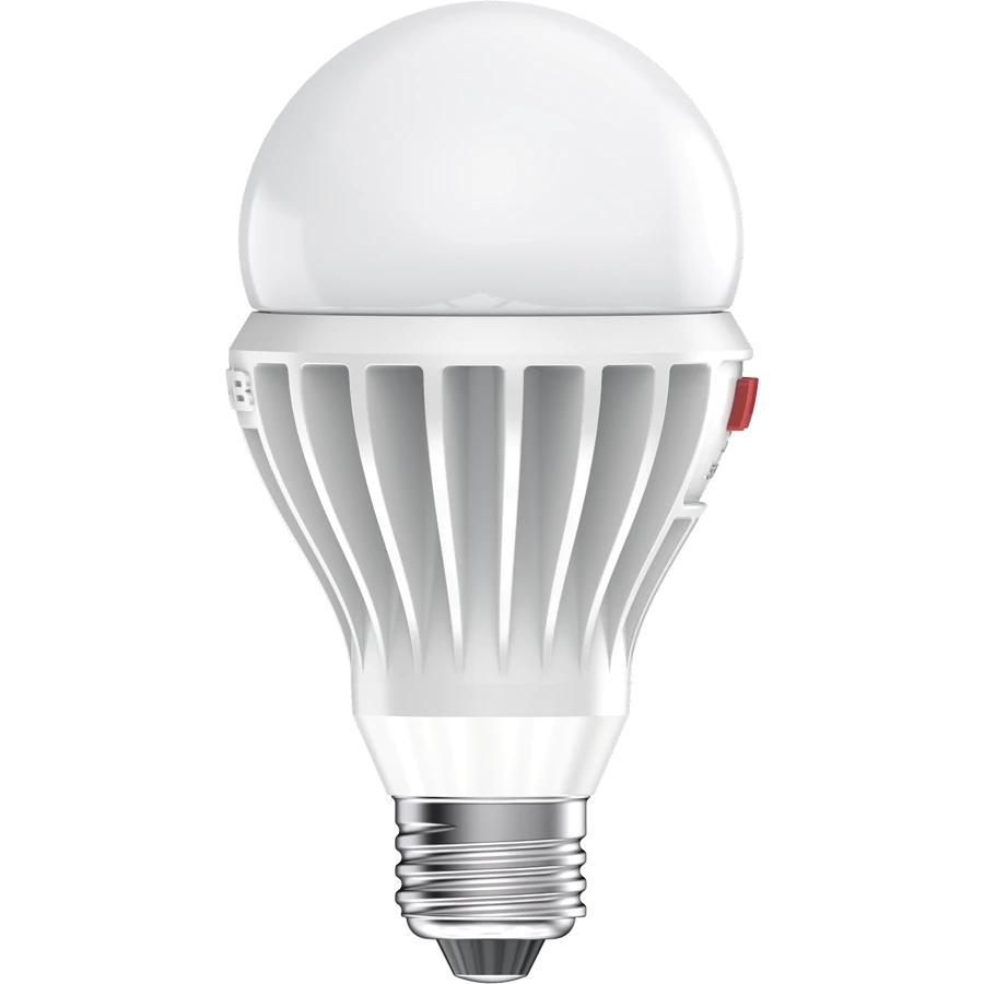 RAB A21-17-E26-9CCT-DIM-UNV 570283