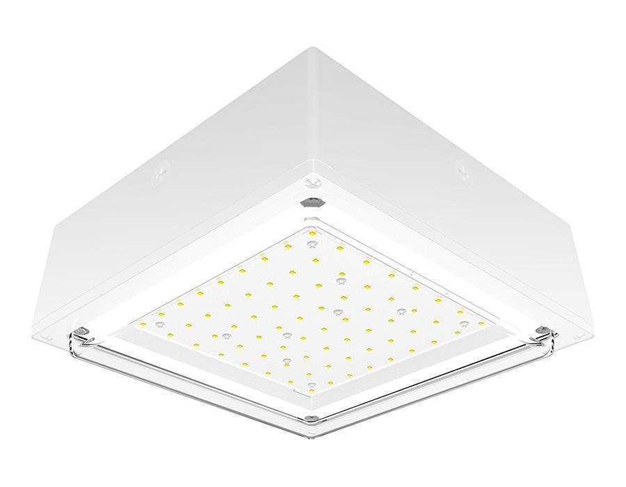 RAB VANLED52W