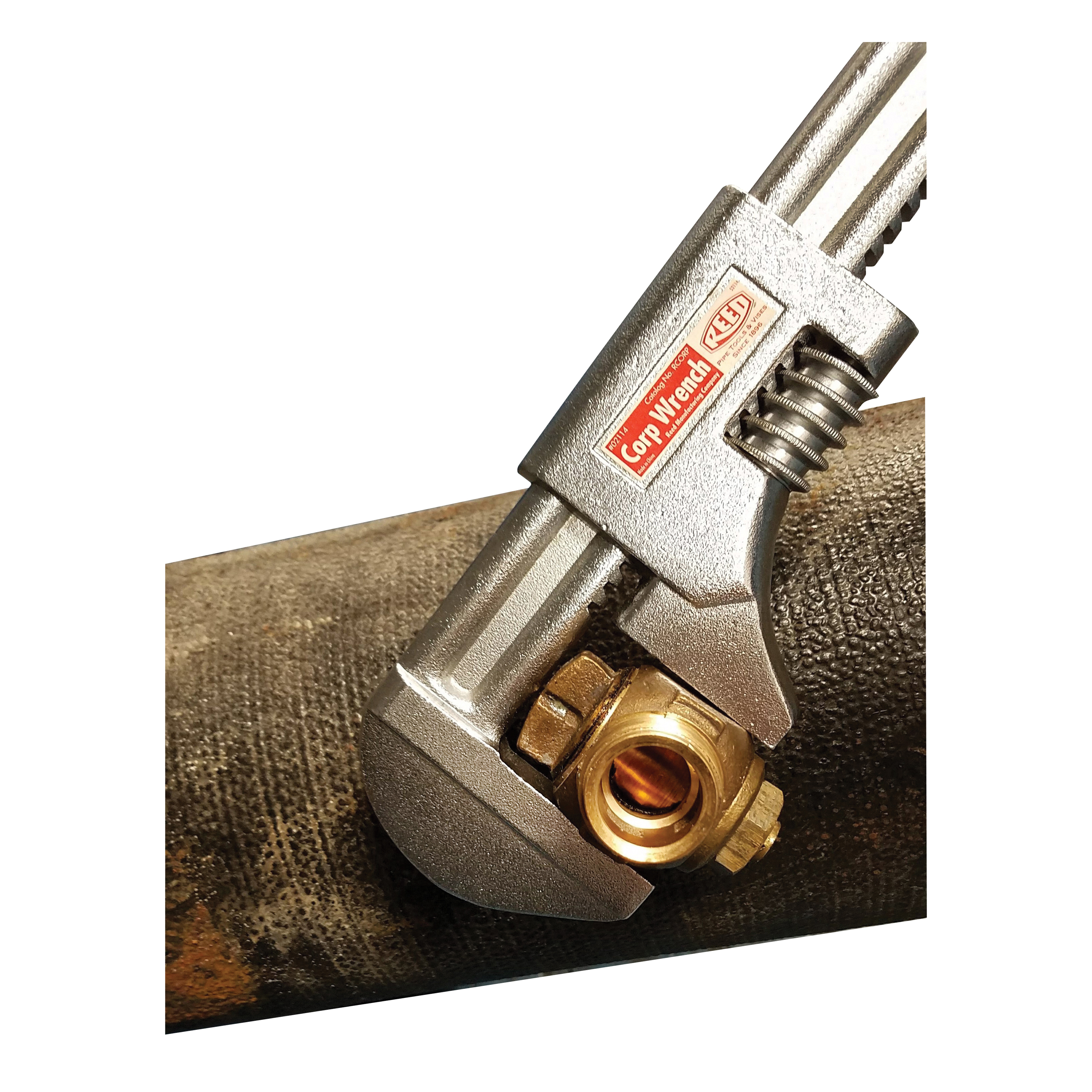 Reed 02114