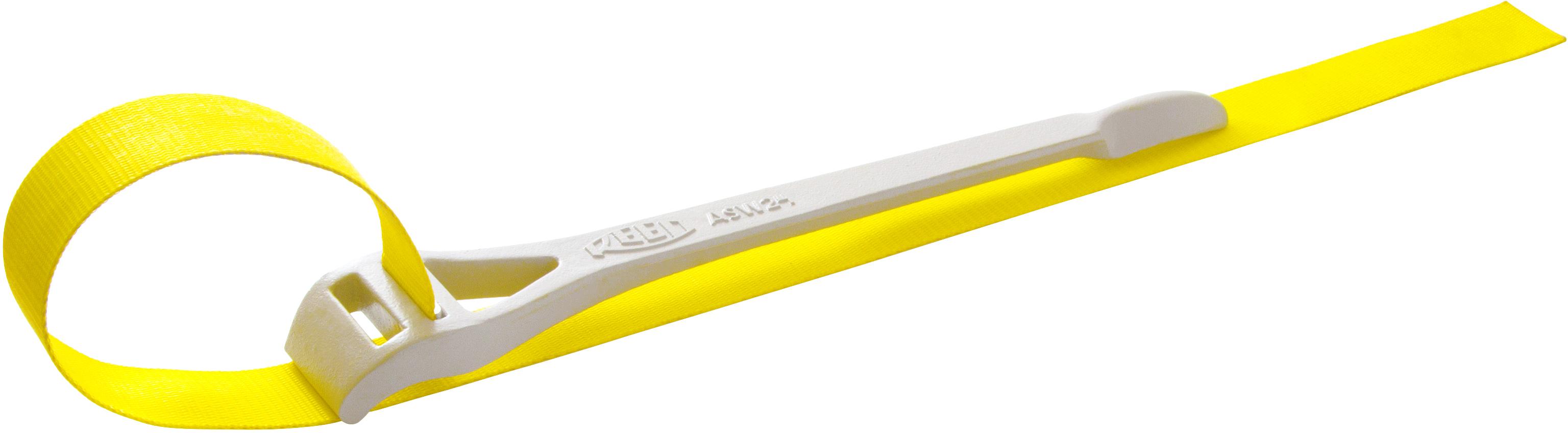 Reed 02235
