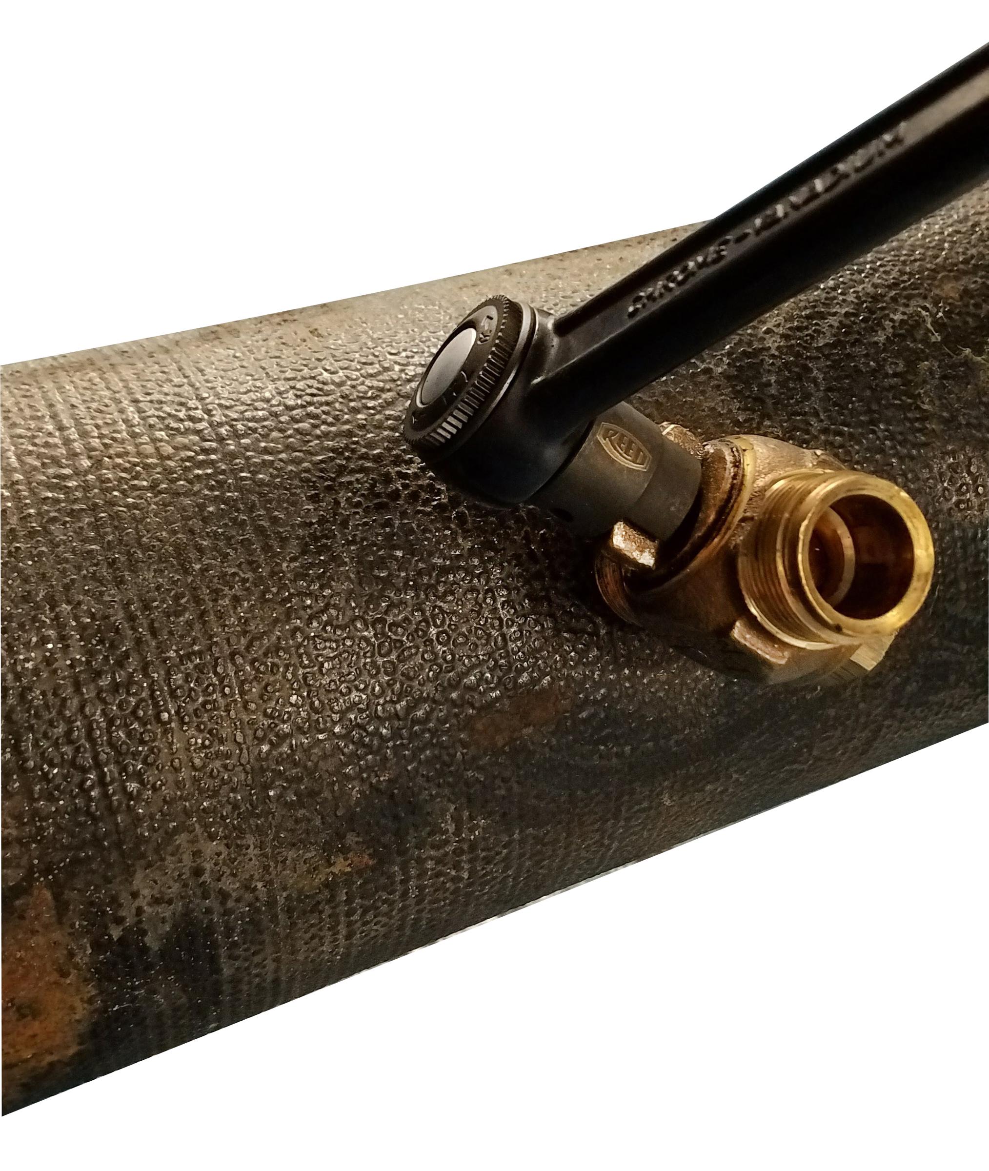 Reed 02237