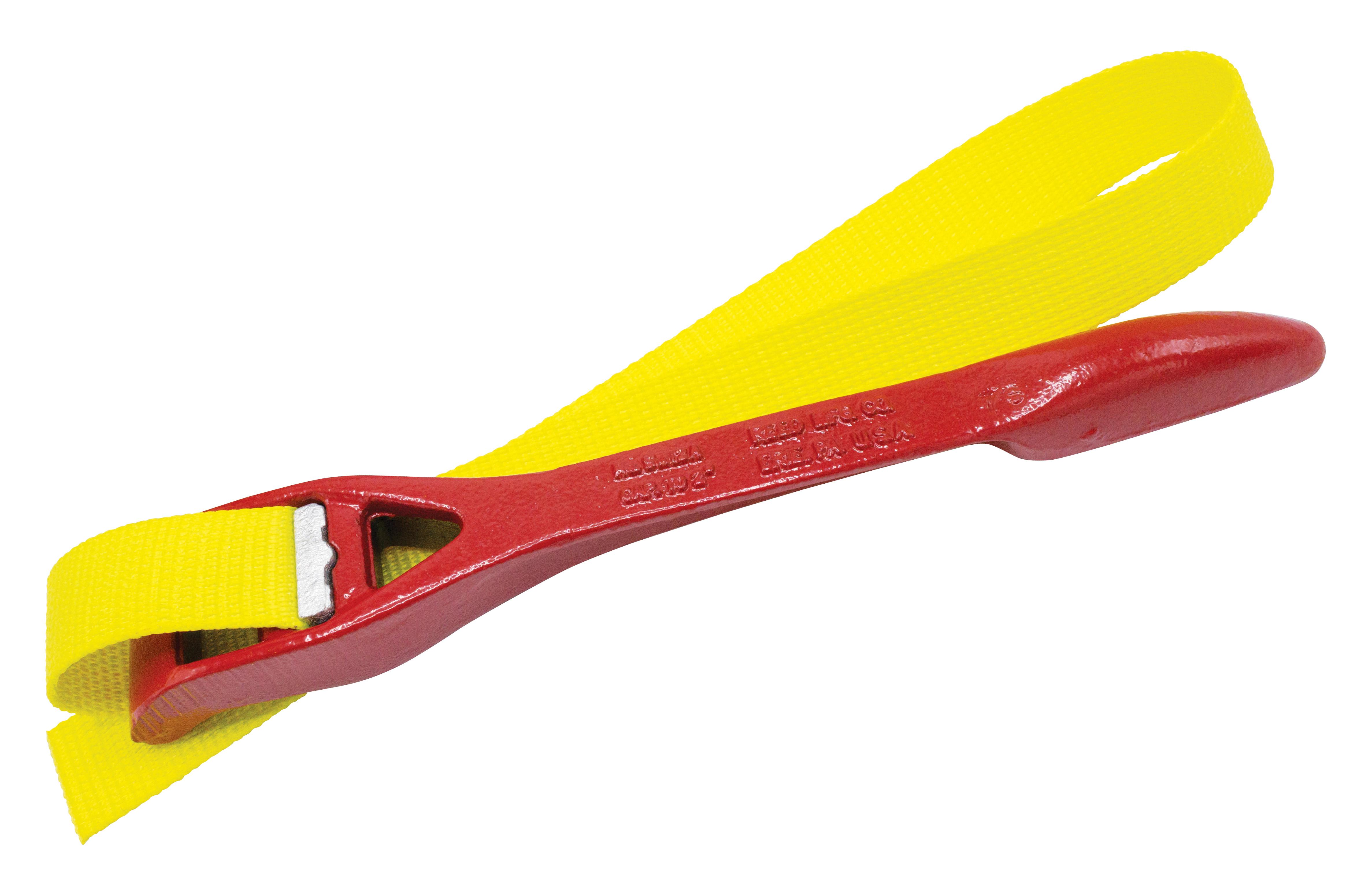 Reed 02247